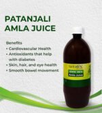 Patanjali Amla Juice