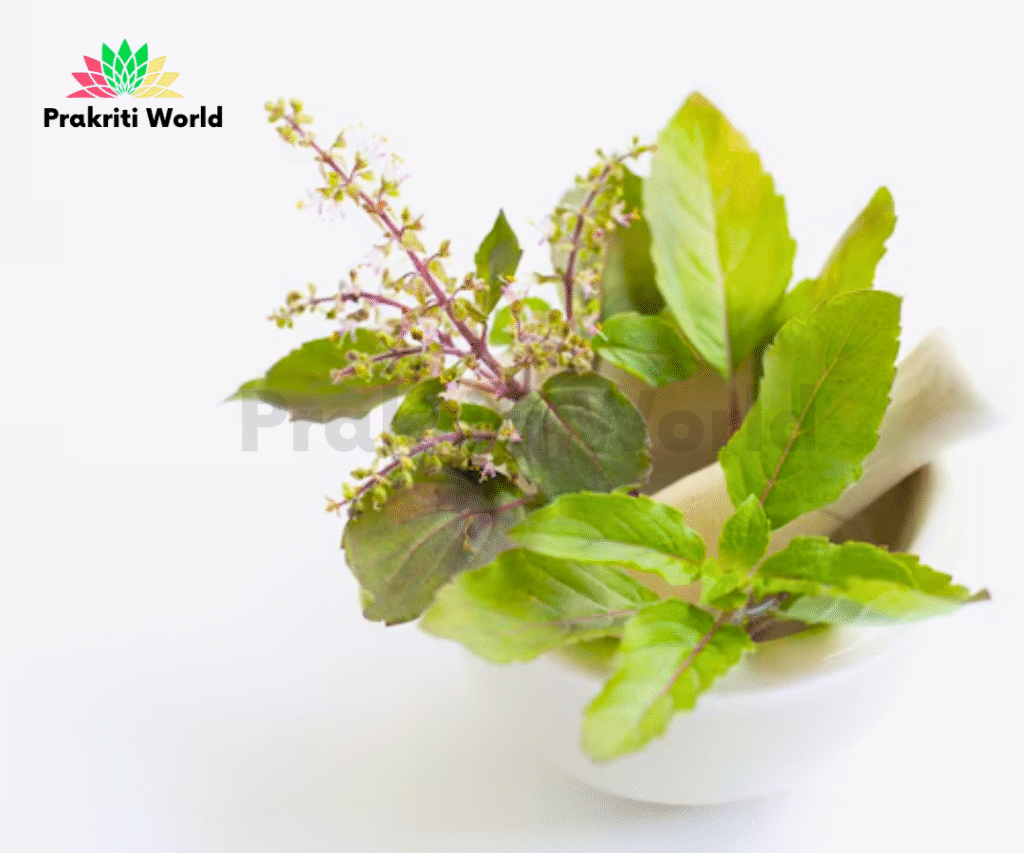 Ayurvedic Remedies for Cough and Cold Symptoms