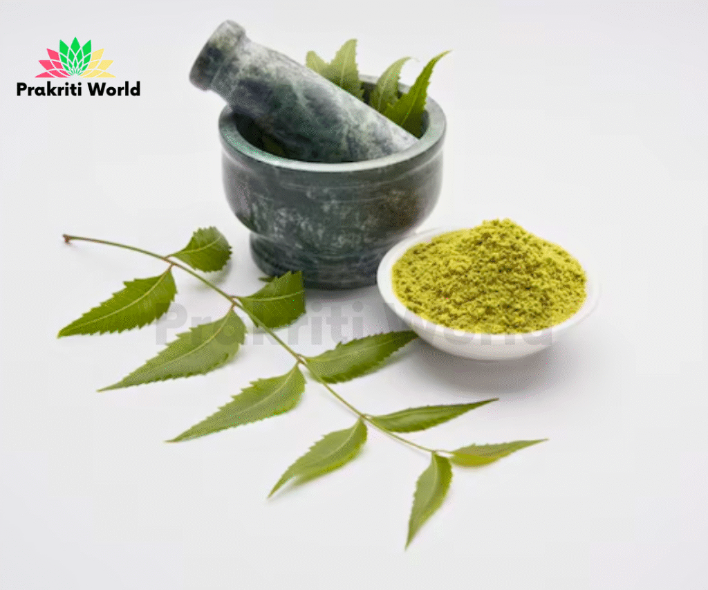 Best Ayurvedic Herbs for Skincare