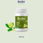 Sri Sri Tattva Amla Tablet | Antioxidant for the skin